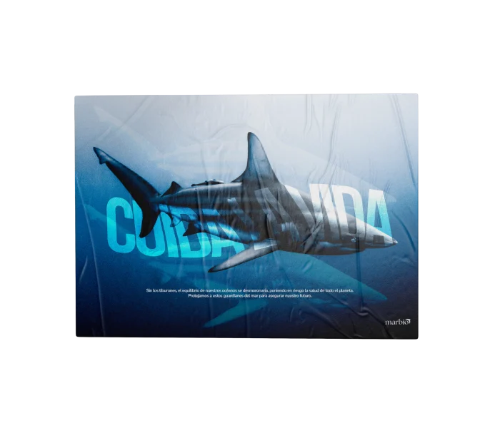 poster mockup